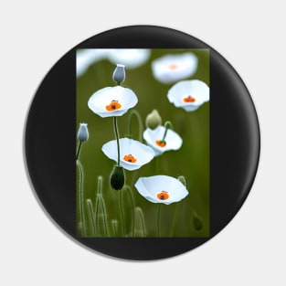 CLEAN WHITE POPPY LIGHT GREEN BACKGROUND Pin