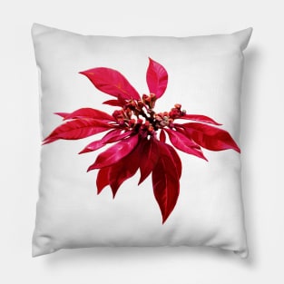 Poinsettia Painting Pillow