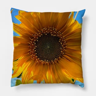 Sun Kissed Sunflower Pillow