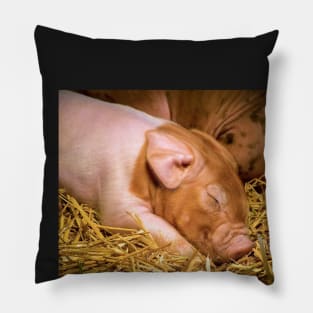 Milk Coma Piglet Pillow