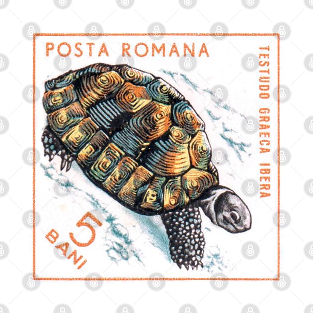 Vintage 1965 Romania tortoise postage stamp by NVDesigns