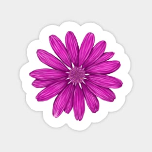 fuchsia color Magnet