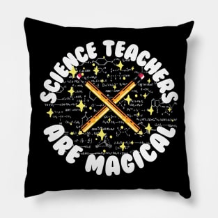 Science Teachers Are Magical Pillow