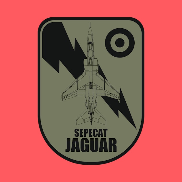 Sepecat Jaguar by Tailgunnerstudios