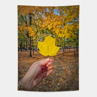 under the yellow maple tree Tapestry