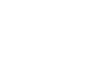 We the People Magnet