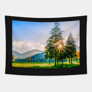 Sunburst Tapestry