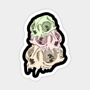 Trhee skull Cat Magnet