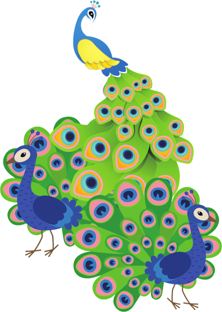 Beautiful Peacock Kids T-Shirt by m-laP