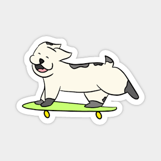 Happy Skate Dog Magnet