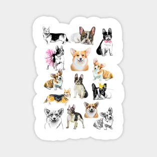 corgis and bulldogs Magnet