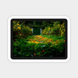 Nasturtiums in Monet's Garden, Giverny, France Magnet