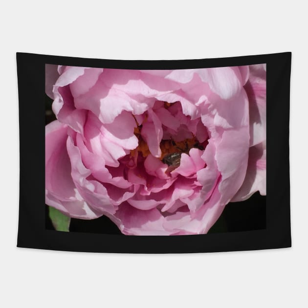 Peony with Bee Tapestry by ephotocard