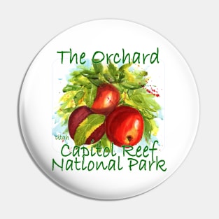 Capitol Reef National Park, The Orchard Pin