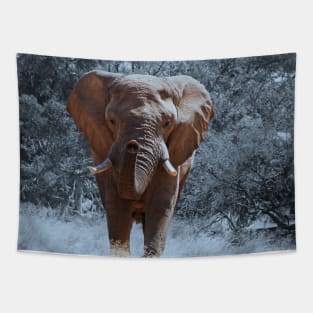 Elephant (Cool) Tapestry