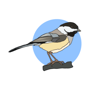 Black Capped Chickadee on Blue T-Shirt