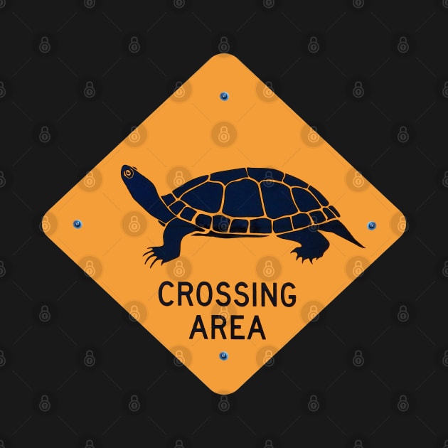 Turtle Crossing by shotsfromthehip