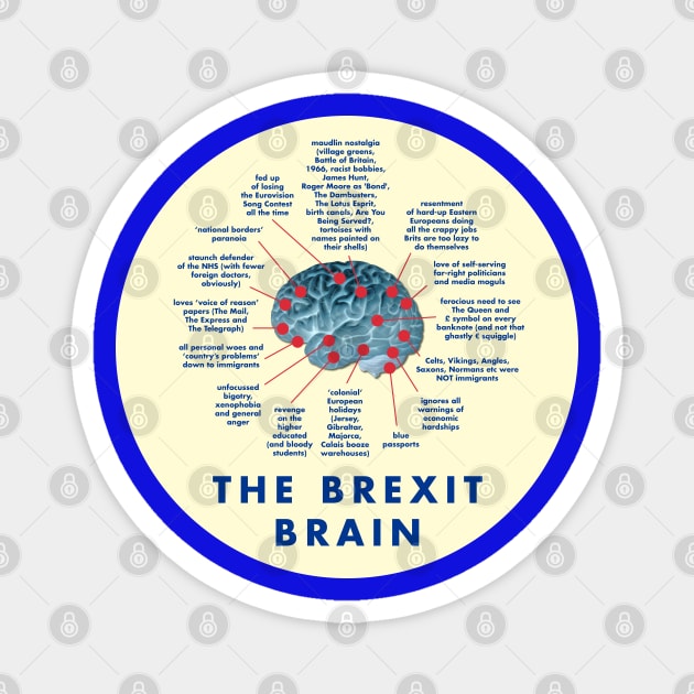 THE BREXIT BRAIN - A GUIDE Magnet by CliffordHayes