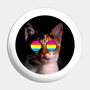 Cute Cat with Glasses Flag Pin