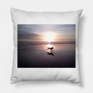 Dog Chasing Sunset in California Pillow