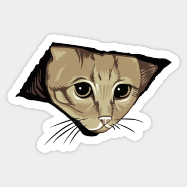 Ceiling Cat