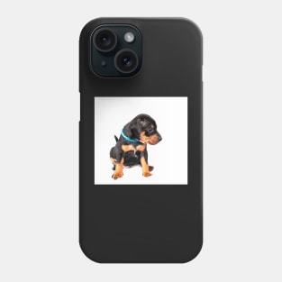 Black and tan Miniature Pinscher puppy at white background Phone Case