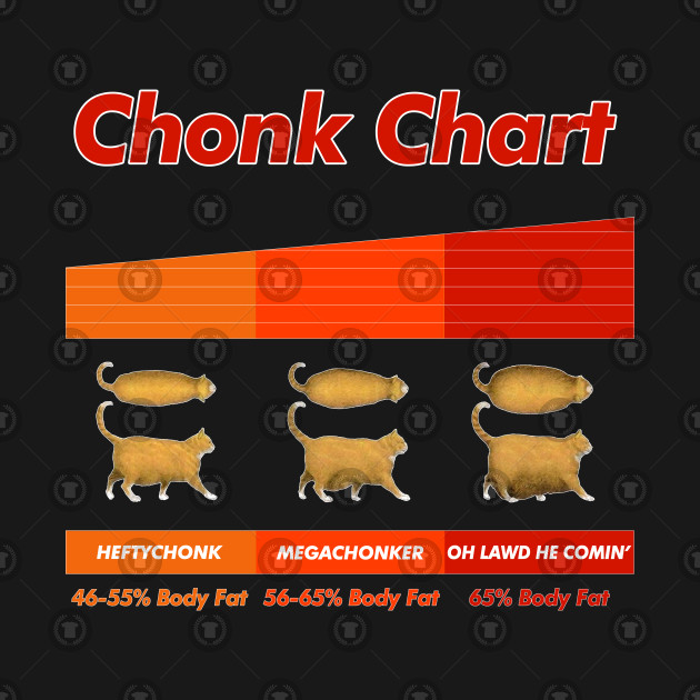 Cat Size Chart Chonk