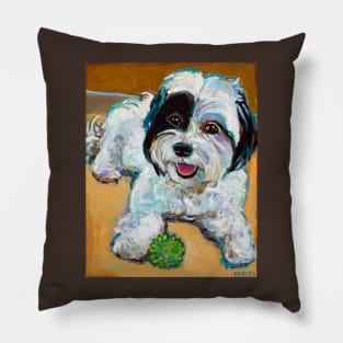 Colorful Shih Tzu With Toy by Robert Phelps Pillow