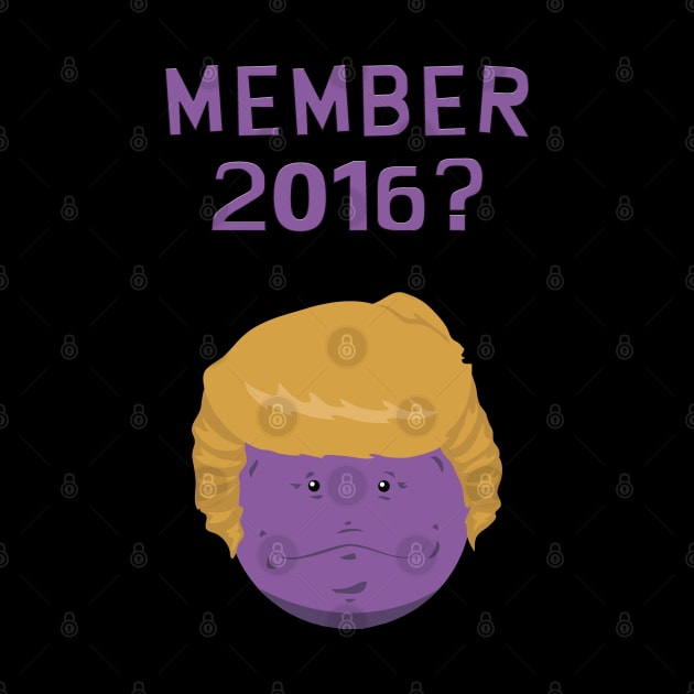 Member when Trump was a presidential candidate? by DigitalCleo