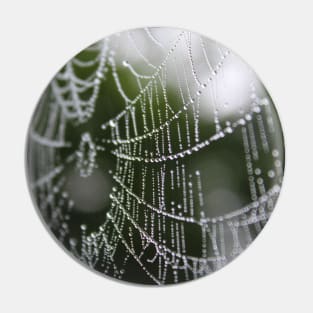 Mother Natures Web Pt. 1 Pin