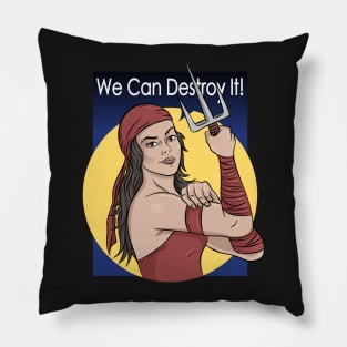 we can destroy it Pillow