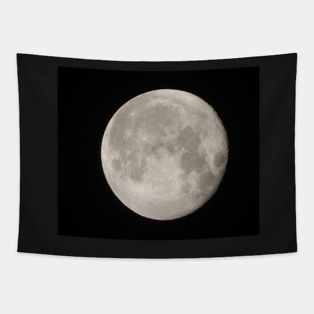 Silver Moon Tapestry by TrapperWeasel