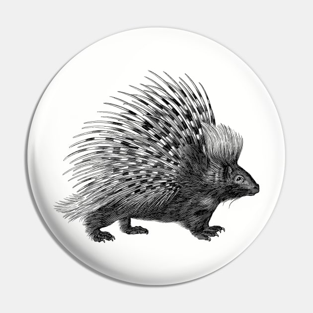 Vintage Porcupine Illustration Pin by AltrusianGrace