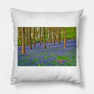 Bluebells Bluebell Woods Greys Court Oxfordshire UK Pillow