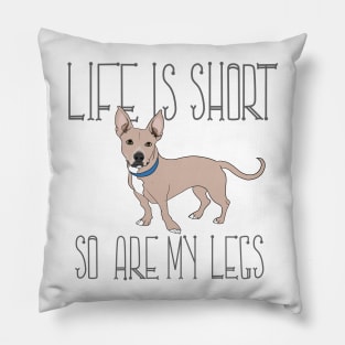 Life is short, so are my legs Pillow