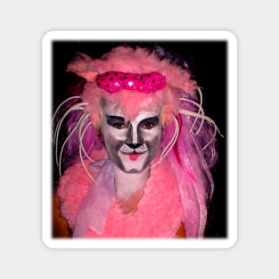 drag queen pink kitten Magnet