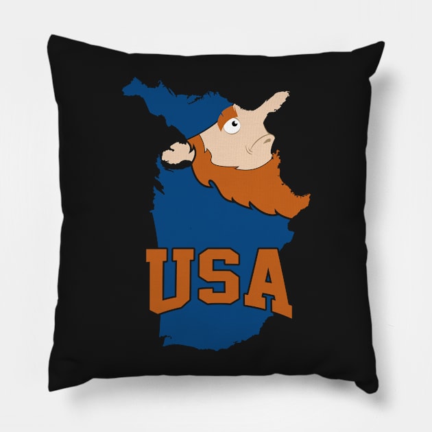 USA: a Funny Map Pillow by percivalrussell