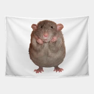 rats meme Tapestry