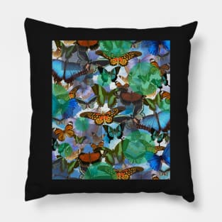 Bold in Butterflies Pillow