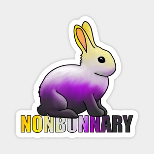 Nonbunnary Magnet