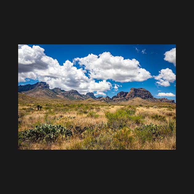 Big Bend National Park Sign by Gestalt Imagery