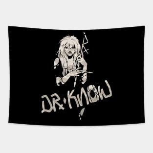 Dr Know Tapestry