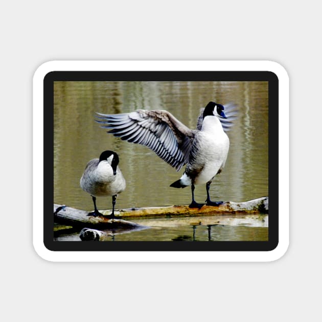 Goose Salute Magnet by LaurieMinor