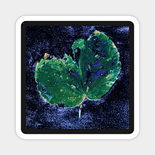 Abstract leaf Magnet