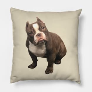 Bully Pillow