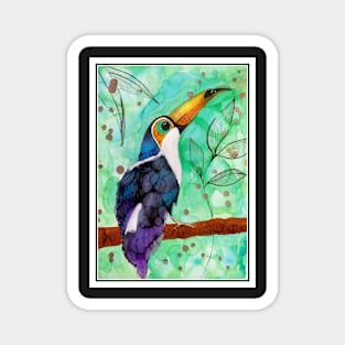 Toucan can Magnet