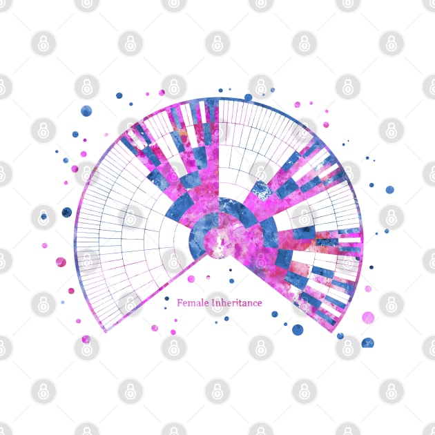 Female Inheritance Chart by RosaliArt