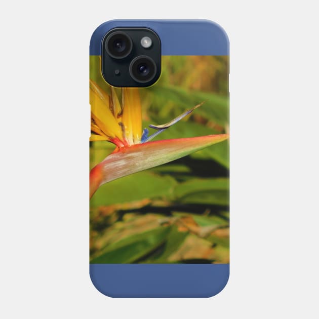 Bird of paradise Phone Case by FriendlyComputerHelp