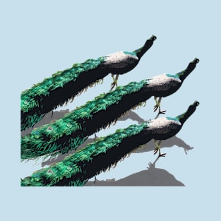 Peacocks on the run T-Shirt