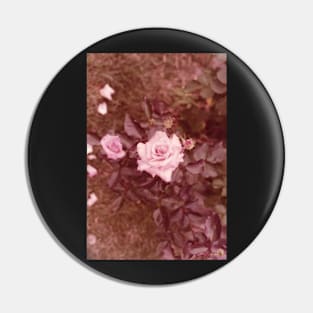 Vintage Rose II Pin